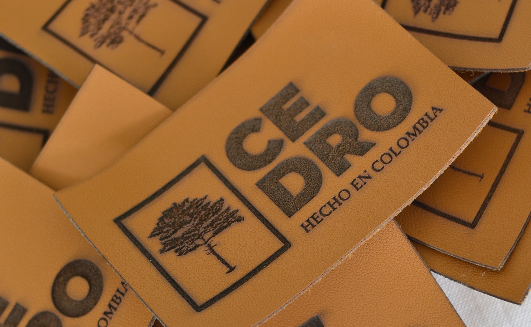 CEDRO, MODA DEL EJE CAFETERO PARA EL MUNDO