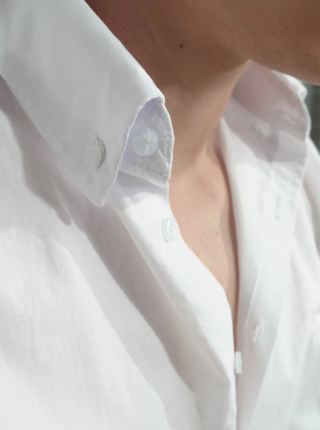 CAMISA PORTOFINO BORDADA | 100% ALGODÓN - CEDRO