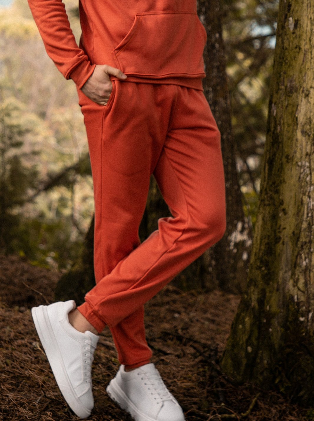 JOGGER CONFORT - CEDRO