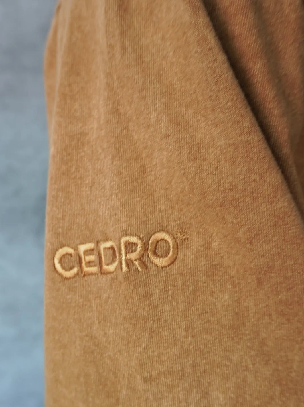 CAMISETA OVERSIZE BORDADA | 100% ALGODÓN DE ALTO GRAMAJE - CEDRO