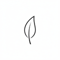 Fibra Natural