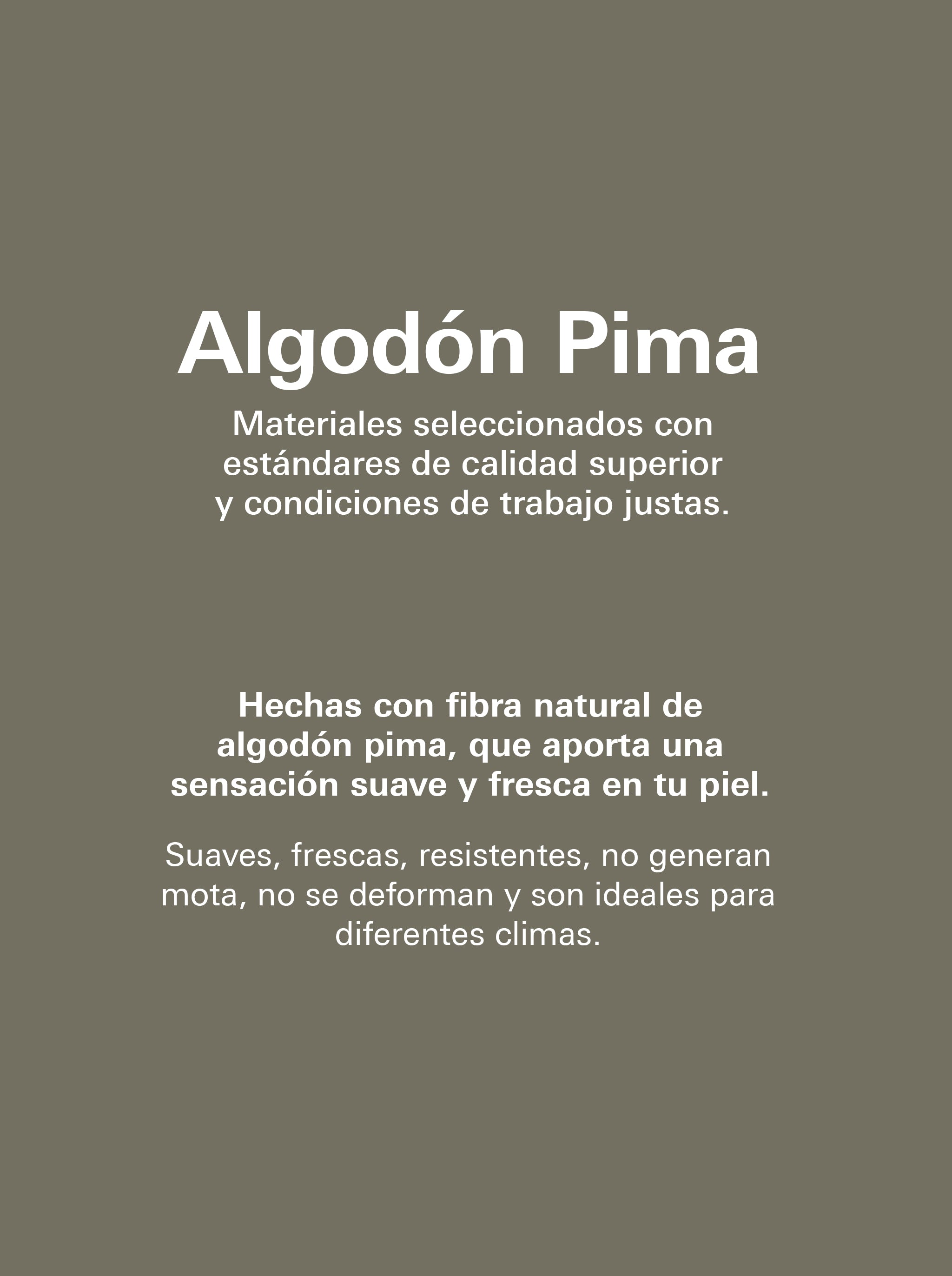 CAMISETA BÁSICA ALGODÓN PIMA | PIQUÉ